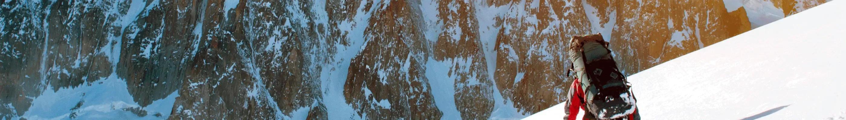 Magento development services